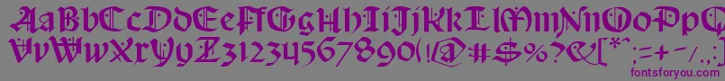 フォントSchampelBlack – 紫色のフォント、灰色の背景