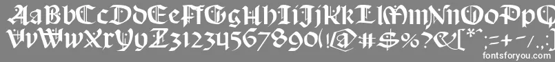 フォントSchampelBlack – 灰色の背景に白い文字