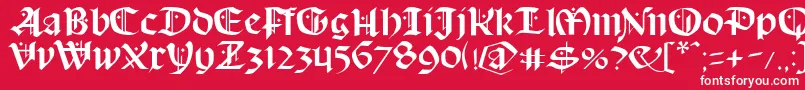 SchampelBlack Font – White Fonts on Red Background