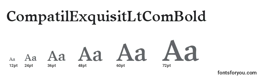Размеры шрифта CompatilExquisitLtComBold