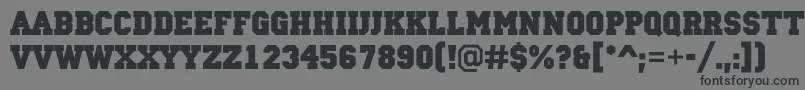 ACampusBold-Schriftart – Schwarze Schriften auf grauem Hintergrund