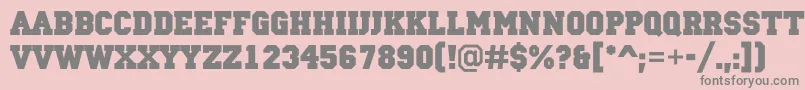 ACampusBold Font – Gray Fonts on Pink Background