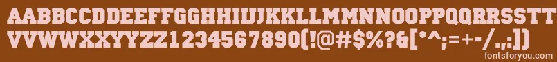 ACampusBold Font – Pink Fonts on Brown Background