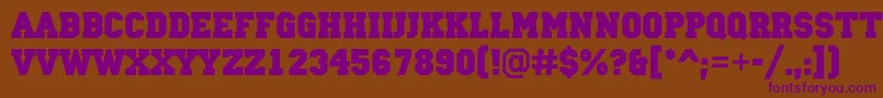 ACampusBold Font – Purple Fonts on Brown Background