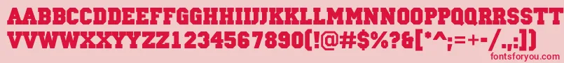 ACampusBold-Schriftart – Rote Schriften auf rosa Hintergrund