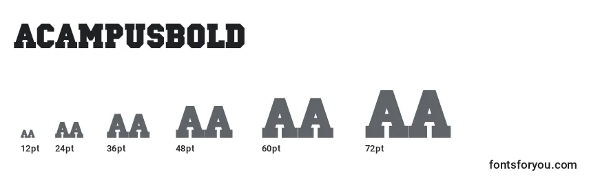 ACampusBold Font Sizes