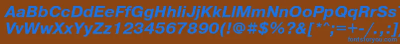 Czcionka PragmaticatttBolditalic – niebieskie czcionki na brązowym tle