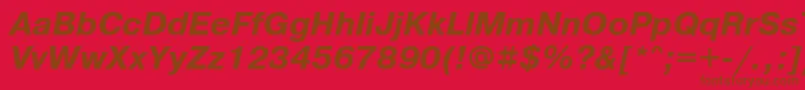 PragmaticatttBolditalic Font – Brown Fonts on Red Background