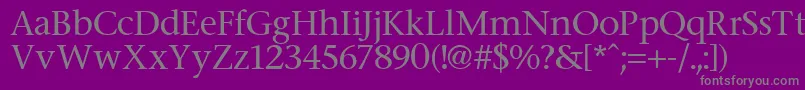 フォントFasse – 紫の背景に灰色の文字
