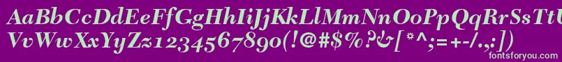 TycoonSsiBoldItalicOldStyleFigures Font – Green Fonts on Purple Background