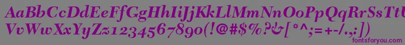 TycoonSsiBoldItalicOldStyleFigures Font – Purple Fonts on Gray Background