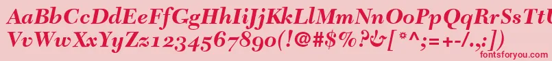 TycoonSsiBoldItalicOldStyleFigures Font – Red Fonts on Pink Background