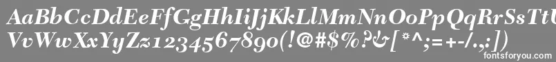 TycoonSsiBoldItalicOldStyleFigures Font – White Fonts on Gray Background
