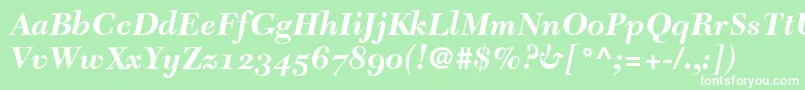 More about TycoonSsiBoldItalicOldStyleFigures Font TycoonSsiBoldItalicOldStyleFigures Font – White Fonts on Green Background