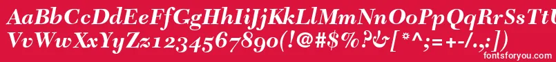 フォントTycoonSsiBoldItalicOldStyleFigures – 赤い背景に白い文字