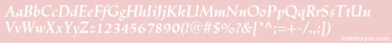 LinotypeTrajanusBolditalic Font – White Fonts on Pink Background