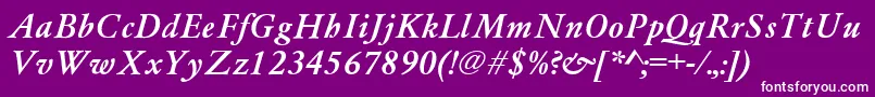 AzgaramondcttBolditalic Font – White Fonts on Purple Background