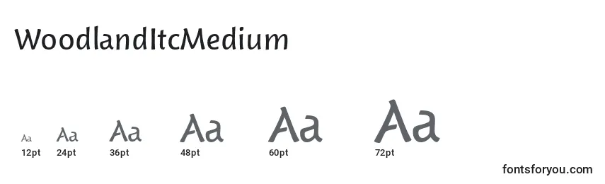 WoodlandItcMedium Font Sizes
