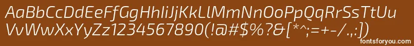 フォントExo2.0Lightitalic – 茶色の背景に白い文字