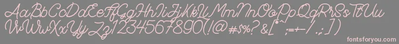 FadScript Font – Pink Fonts on Gray Background
