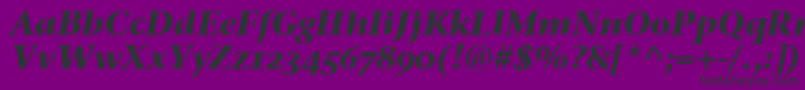 StoneSerifOsItcTtBoldita Font – Black Fonts on Purple Background
