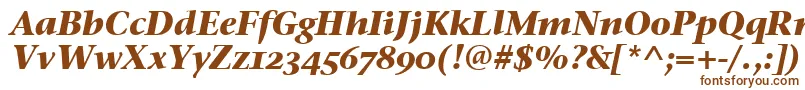 StoneSerifOsItcTtBoldita Font – Brown Fonts on White Background