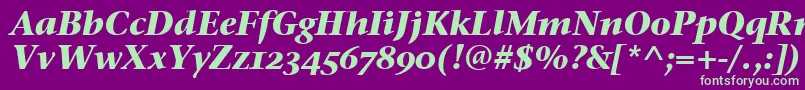 StoneSerifOsItcTtBoldita Font – Green Fonts on Purple Background