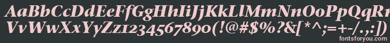 StoneSerifOsItcTtBoldita Font – Pink Fonts on Black Background