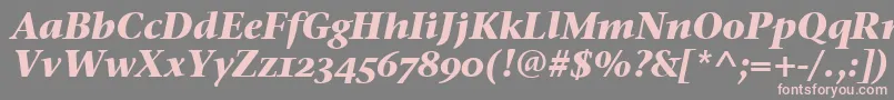 StoneSerifOsItcTtBoldita-Schriftart – Rosa Schriften auf grauem Hintergrund