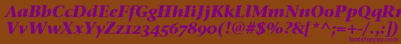 StoneSerifOsItcTtBoldita Font – Purple Fonts on Brown Background