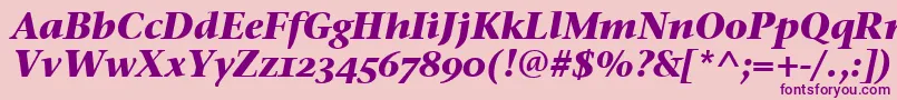 StoneSerifOsItcTtBoldita Font – Purple Fonts on Pink Background