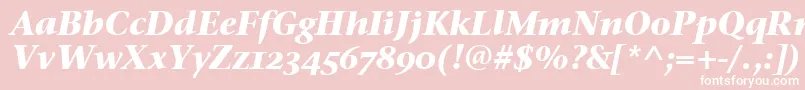 StoneSerifOsItcTtBoldita Font – White Fonts on Pink Background