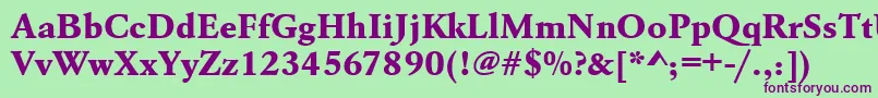 Urwgaramondtextbolwid Font – Purple Fonts on Green Background