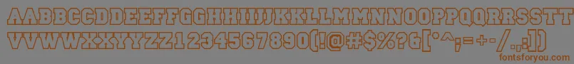 ACampusotlBold Font – Brown Fonts on Gray Background