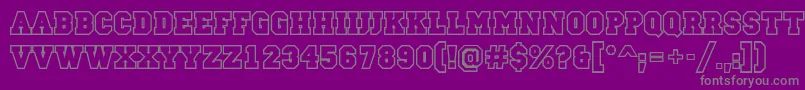 ACampusotlBold Font – Gray Fonts on Purple Background