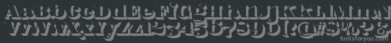 FatFlamingo5Shadow Font – Gray Fonts on Black Background