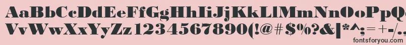 Urwbodonidextbolwid Font – Black Fonts on Pink Background