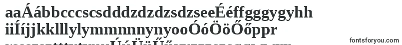 Шрифт Liberationserif ffy – венгерские шрифты