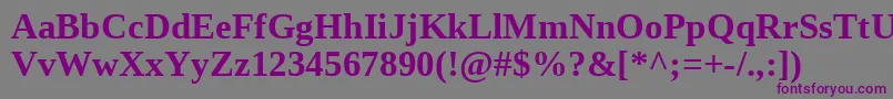 フォントLiberationserif ffy – 紫色のフォント、灰色の背景
