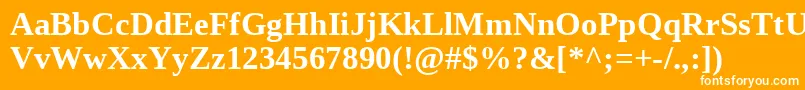 Liberationserif ffy Font – White Fonts on Orange Background