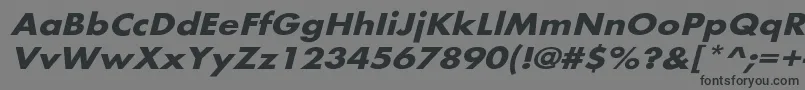 Шрифт BelmarextoblBo – чёрные шрифты на сером фоне