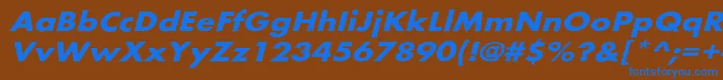 BelmarextoblBo Font – Blue Fonts on Brown Background