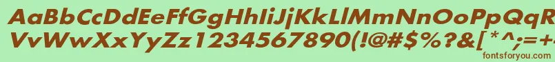 BelmarextoblBo Font – Brown Fonts on Green Background