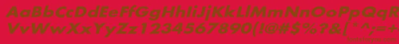 BelmarextoblBo Font – Brown Fonts on Red Background