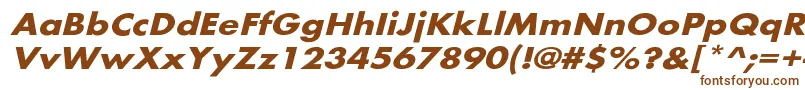 Шрифт BelmarextoblBo – коричневые шрифты на белом фоне