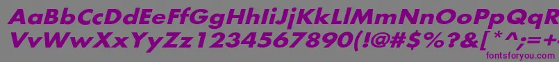 Шрифт BelmarextoblBo – фиолетовые шрифты на сером фоне