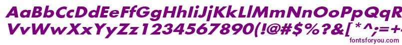 Więcej informacji o czcionce BelmarextoblBo Czcionka BelmarextoblBo – fioletowe czcionki