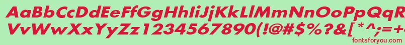 BelmarextoblBo Font – Red Fonts on Green Background