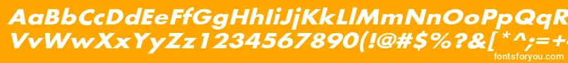 BelmarextoblBo-Schriftart – Weiße Schriften auf orangefarbenem Hintergrund