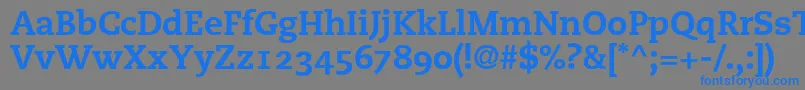 PmnCaecilia85HeavyOldstyleFigures Font – Blue Fonts on Gray Background